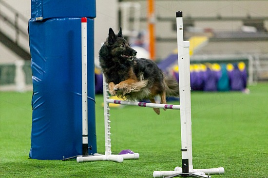 Agility