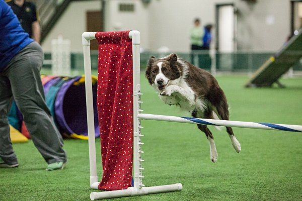 Sunday Banner (1 of 1).jpg